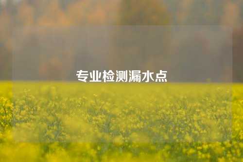 专业检测漏水点