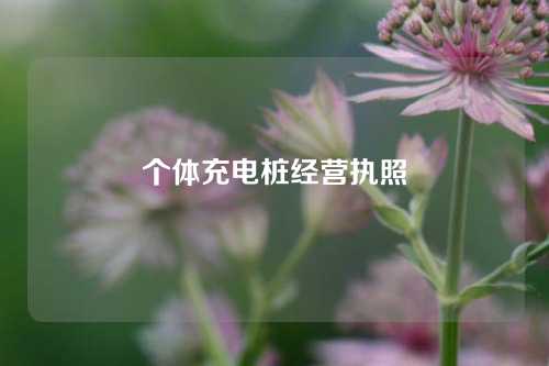 个体充电桩经营执照