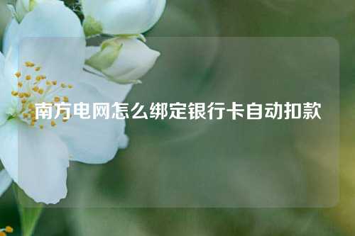 南方电网怎么绑定银行卡自动扣款