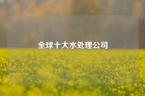 全球十大水处理公司