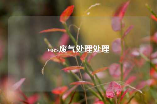 vocs废气处理处理