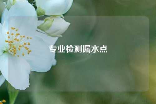 专业检测漏水点