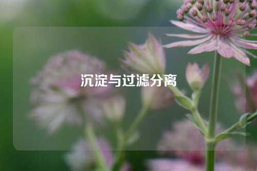 沉淀与过滤分离