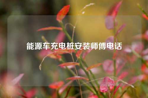 能源车充电桩安装师傅电话