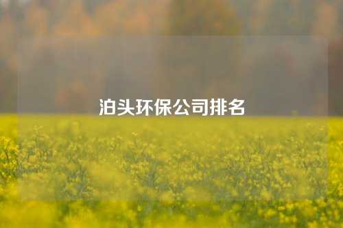 泊头环保公司排名