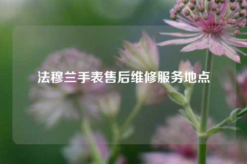 法穆兰手表售后维修服务地点