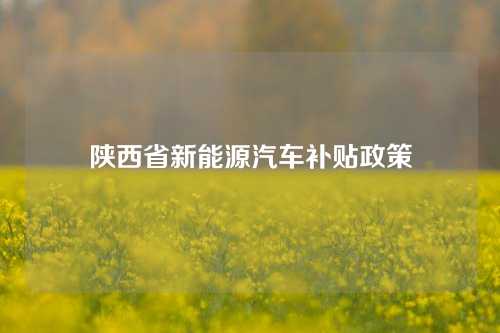 陕西省新能源汽车补贴政策