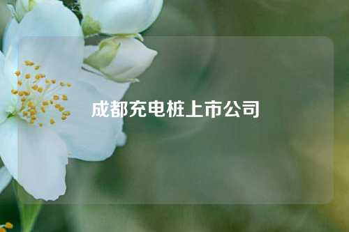 成都充电桩上市公司