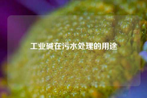 工业碱在污水处理的用途