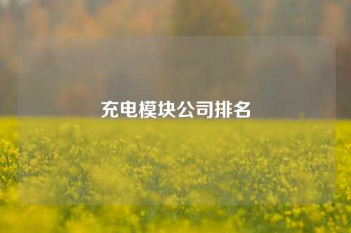 充电模块公司排名