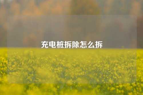 充电桩拆除怎么拆