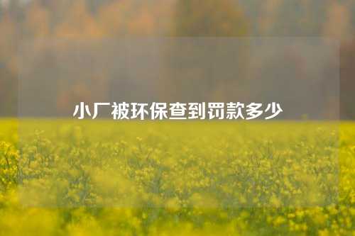 小厂被环保查到罚款多少