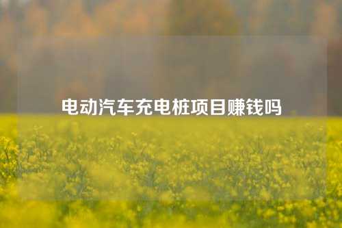 电动汽车充电桩项目赚钱吗