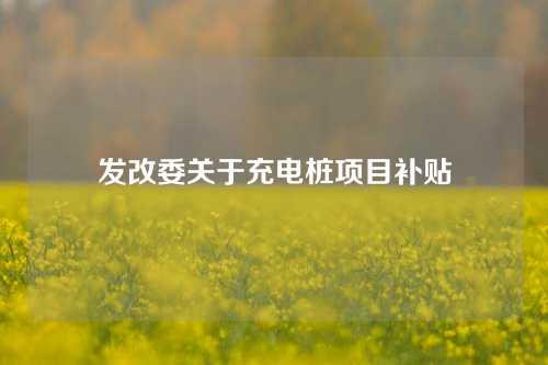 发改委关于充电桩项目补贴