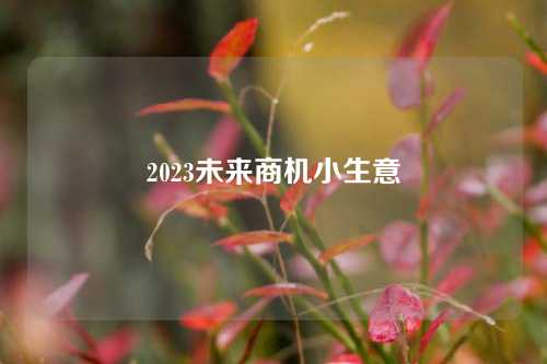 2023未来商机小生意