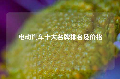 电动汽车十大名牌排名及价格