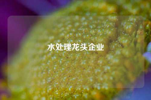 水处理龙头企业