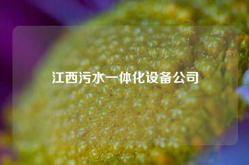 江西污水一体化设备公司