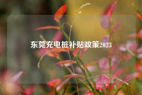 东莞充电桩补贴政策2023