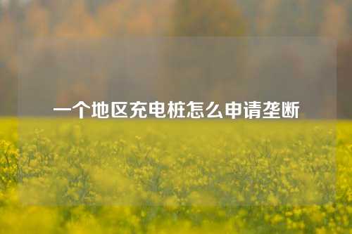 一个地区充电桩怎么申请垄断