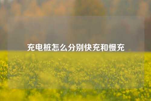 充电桩怎么分别快充和慢充