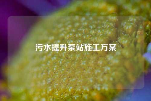 污水提升泵站施工方案