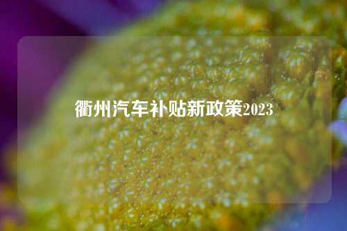 衢州汽车补贴新政策2023