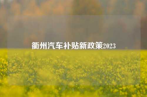 衢州汽车补贴新政策2023