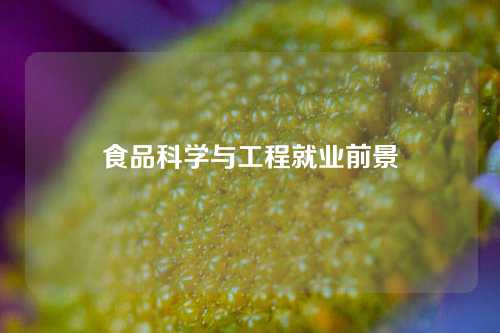 食品科学与工程就业前景