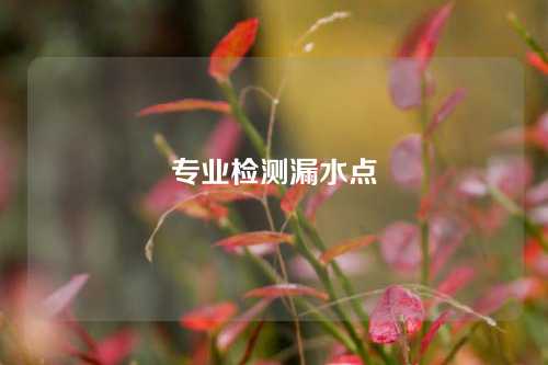 专业检测漏水点