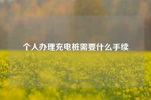 个人办理充电桩需要什么手续