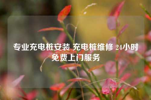 专业充电桩安装 充电桩维修 24小时免费上门服务