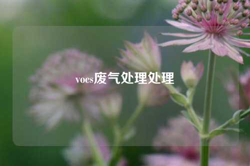 vocs废气处理处理