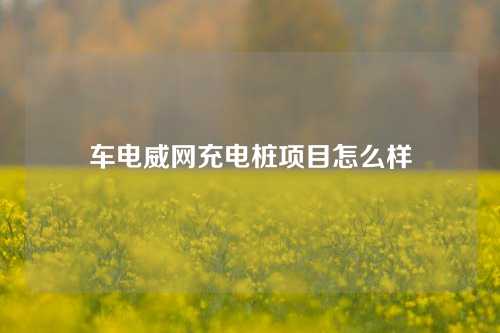 车电威网充电桩项目怎么样