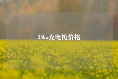 30kw充电桩价格