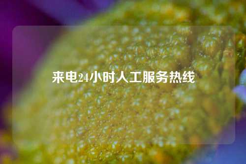 来电24小时人工服务热线