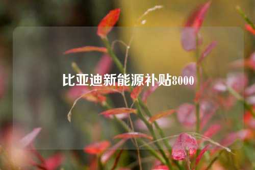 比亚迪新能源补贴8000