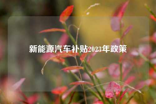 新能源汽车补贴2023年政策