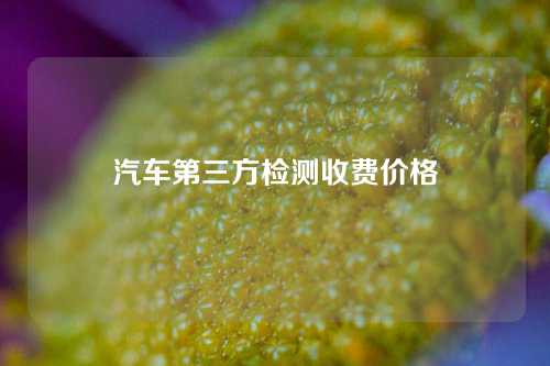 汽车第三方检测收费价格