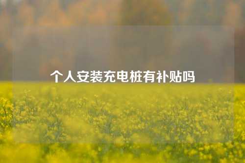 个人安装充电桩有补贴吗