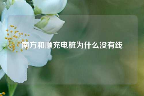 南方和顺充电桩为什么没有线