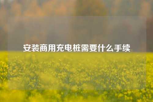 安装商用充电桩需要什么手续