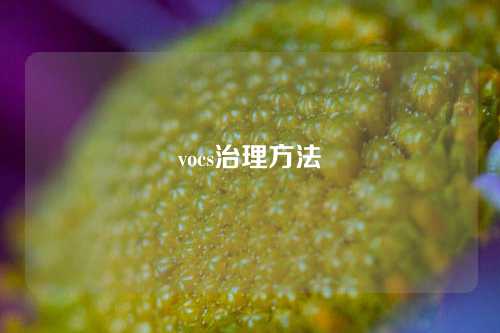 vocs治理方法